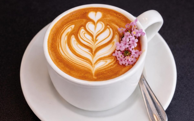Servicio premium de café para eventos en Santo Domingo